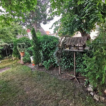 Kwatery U Zisi Miedzyzdroje Exterior photo
